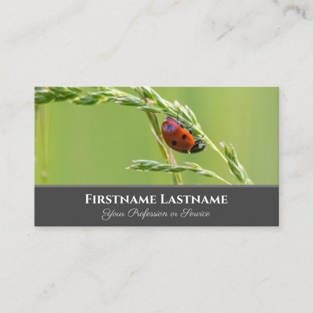 Positive and lucky ladybug for zen and education business card (Front)