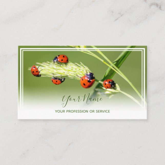 Positive lucky ladybugs for healthy well being business card (Front)