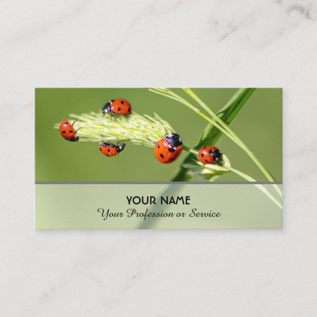 Positive lucky ladybugs for healthy well being business card (Front)