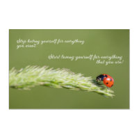 Positive motivational quote with little ladybug