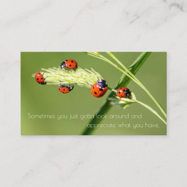 Positive motivational quote with little ladybugs business card (Front)