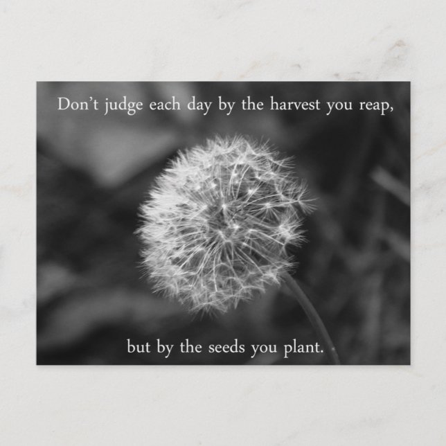 Positive Thinking Saying with Dandelion Postcard (Front)