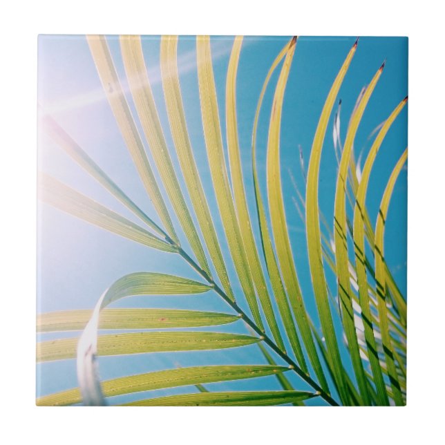Positive Vibes Palm Tree Sunny Tile (Front)