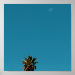 Positive Vibes Tropical Palm Tree Moon Minimalism Poster