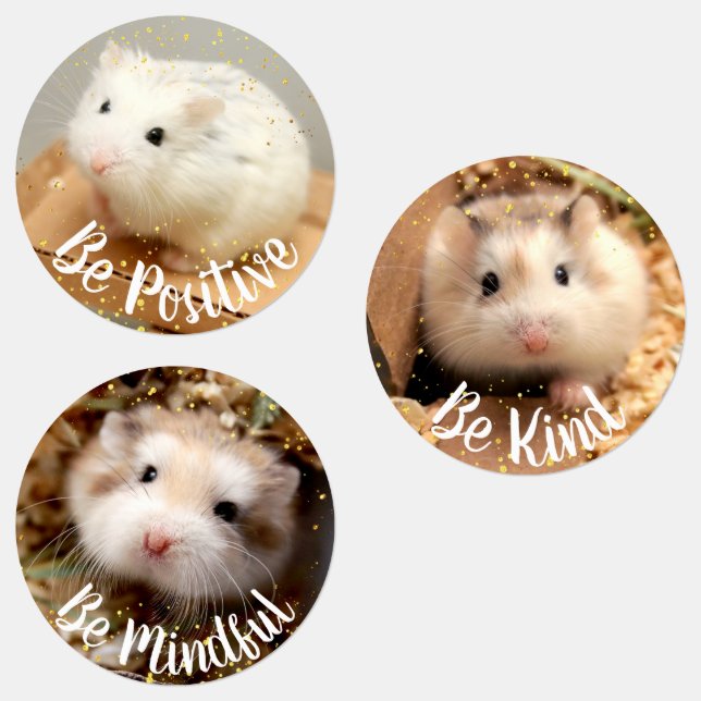 Positivity - Hammyville Cute Hamsters (Group)