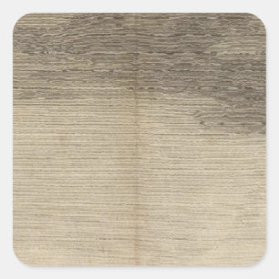 Possession Bay, South Georgia Square Sticker