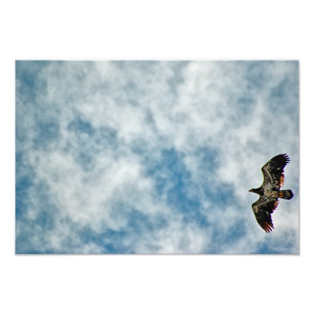 Possibilities Ahead Photo Print (Front)