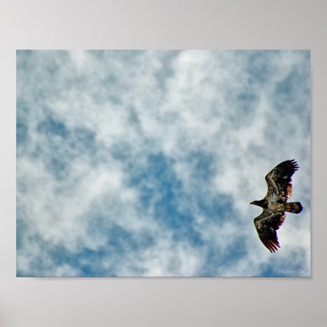 Possibilities Ahead Poster (Front)