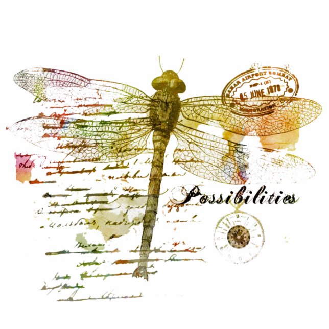 Possibilities dragonfly magnet photo sculpture magnet (Front)