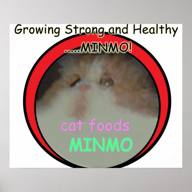 Possibly the most obscure Silent Hill 3 reference  Poster (Front)