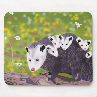 Possum family mouse mat