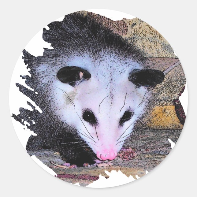 Possum Opossum Classic Round Sticker (Front)