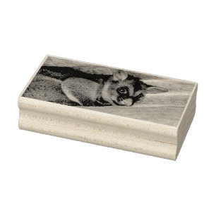 POSSUM QUEENSLAND AUSTRALIA RUBBER STAMP