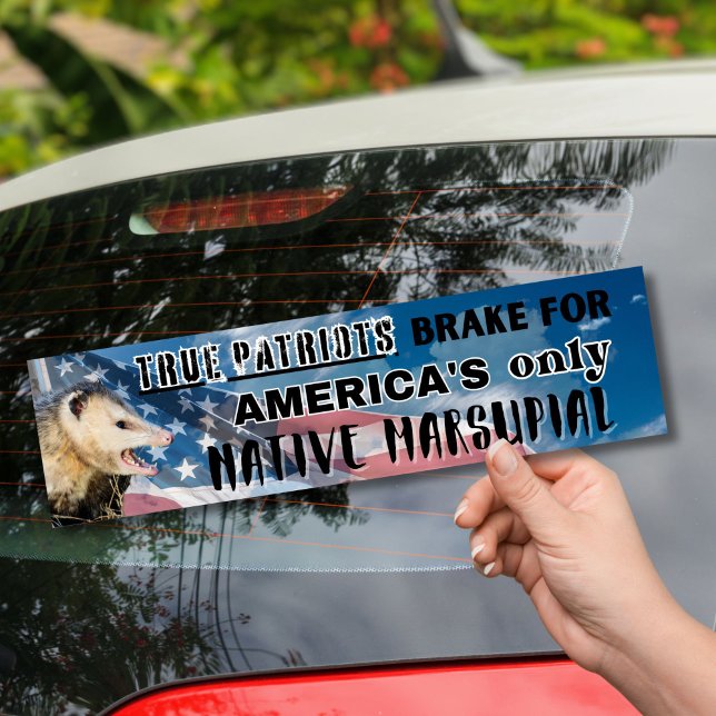 Possum Sticker - America's only Native Marsupial (Creator Uploaded)