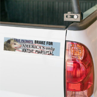 Possum Sticker - I brake for America's only native