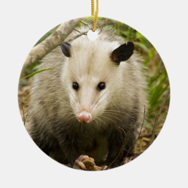 Possums are Pretty - Opossum Didelphimorphia Ceramic Tree Decoration (Front)