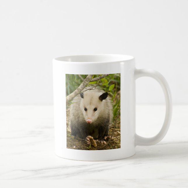 Possums are Pretty - Opossum Didelphimorphia Coffee Mug (Right)