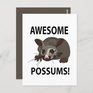 Possums Awesome Funny Possums Postcard