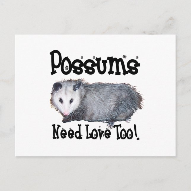 Possums Need Love Too Postcard (Front)