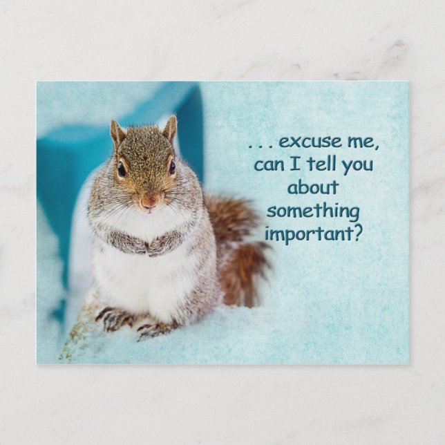 POST CARD - ADVERTISEMENT - CUTE SQUIRREL (Front)