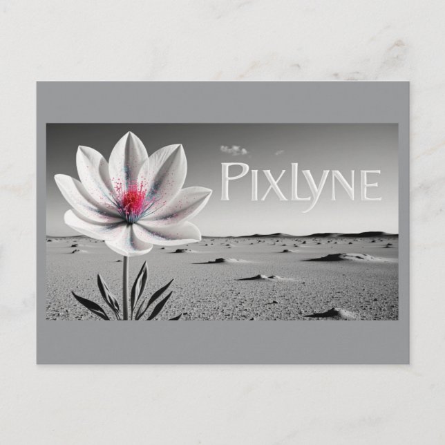 Post Card (andrew) (Front)