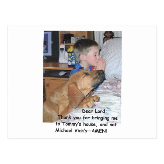 Post card - Animal lovers