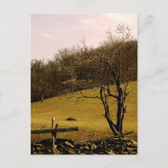 POST CARD Appalachian Trail (Front)