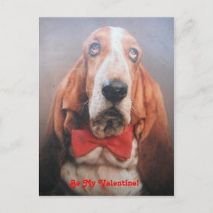Post Card Basset Hound In Red Bow Tie, Be My Val