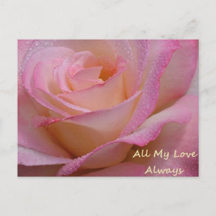 Post Card Beautiful Pink Rose, All My Love Always