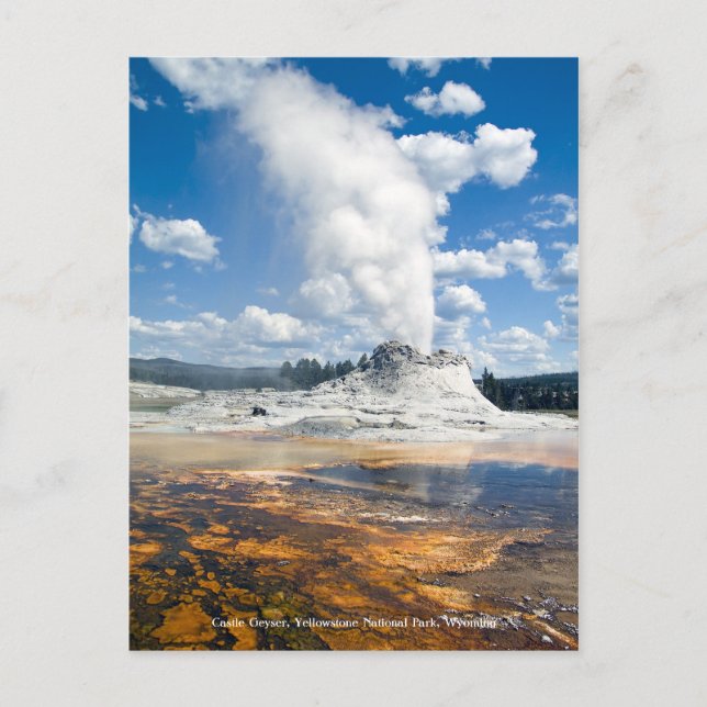 Post Card - Castle Geyser (Front)