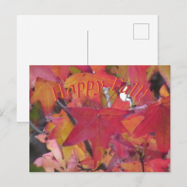 Post Card - Fall Leaves (Front/Back)