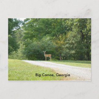 Post Card from Big Canoe, Georgia
