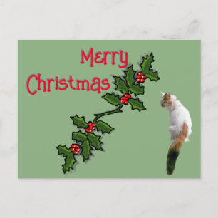 Post Card - Merry Christmas Holly and Calico Cat