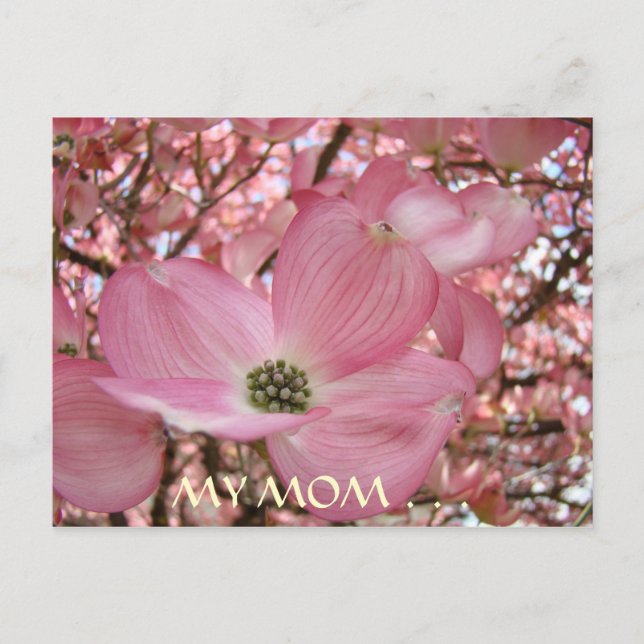 POST CARD My Mum Sweetest Life DOGWOOD FLOWERS (Front)