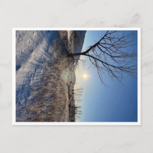 Post Card, Size: Standard Postcard, Paper: Matte, Postcard