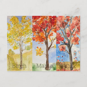 Post Card, Size: Standard Postcard, Paper: Matte, Postcard