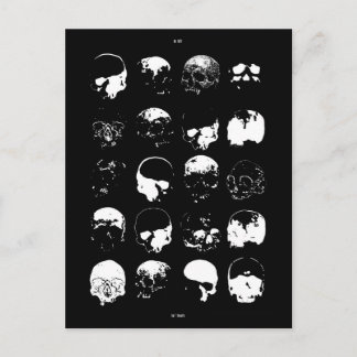 Post Card, Size: Standard Postcard, Paper: Matte, Postcard