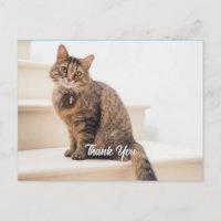 Post Card, Size: Standard Postcard, Paper: Semi-Gl