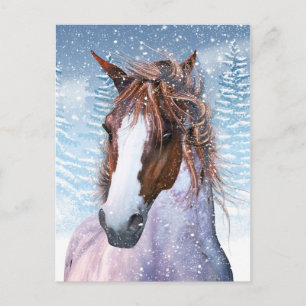 Post Card With Winter Horse In The Snow