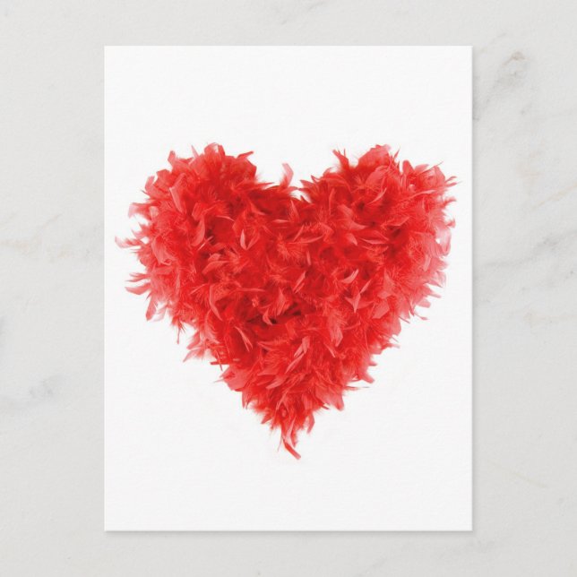Post Cards| Red Heart Boa Postcard (Front)