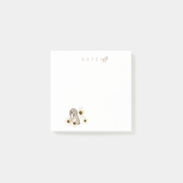 Post-It Notes (Front)