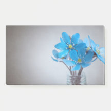 Post It Notes