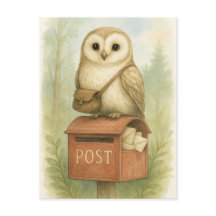 Post Owl Mail Bird Wild Animals Postcard