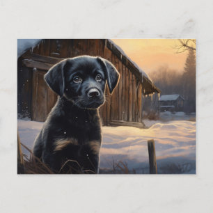 Postal Card Dog 5-8