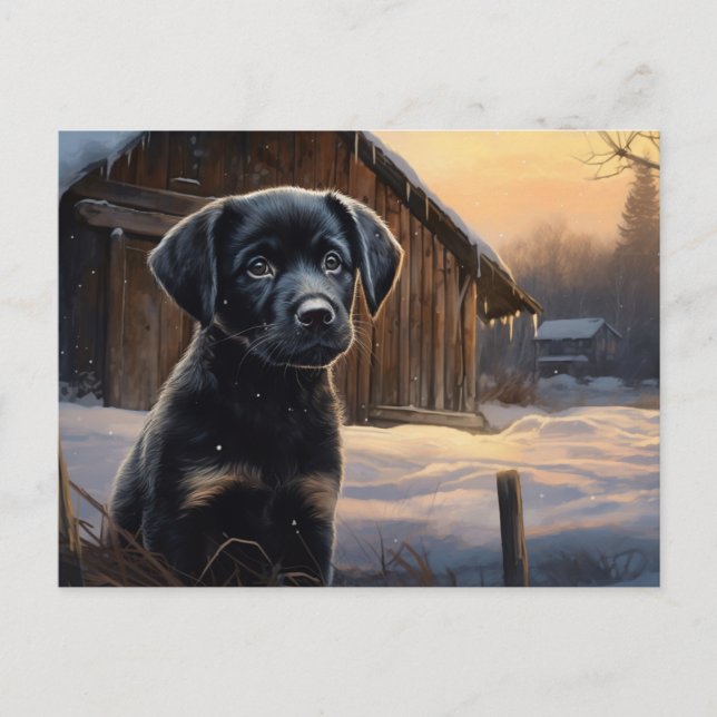 Postal Card Dog 5-8 (Front)
