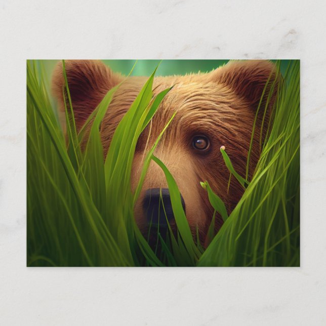 Postal cards bear herb (Front)