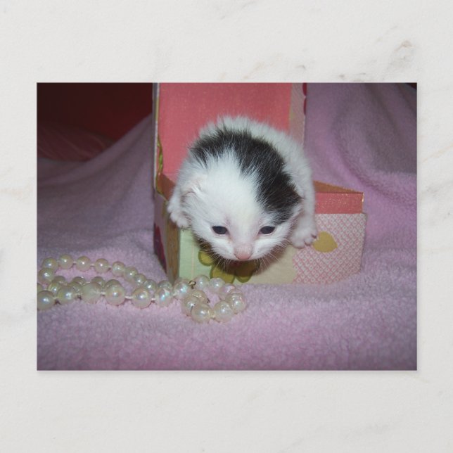 Postal delivery postcard (Front)