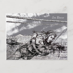 Postcard