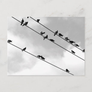 Postcard