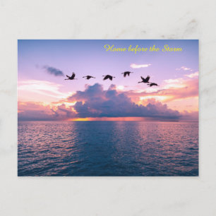 Postcard